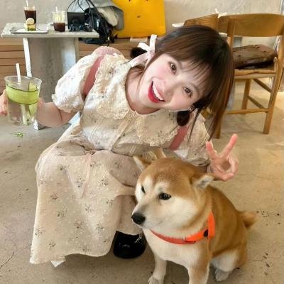 香蕉岛的幽灵